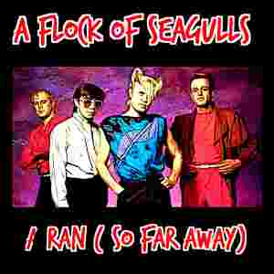 A Flock of Seagulls
